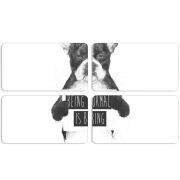 Магнитные фотопазлы 90 на 50 набор 4 штуки 