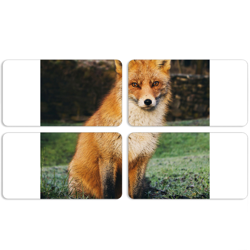 Магнитные фотопазлы 90 на 50 набор 4 штуки 