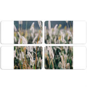 Магнитные фотопазлы 90 на 50 набор 4 штуки 