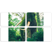 Магнитные фотопазлы 90 на 50 набор 4 штуки 