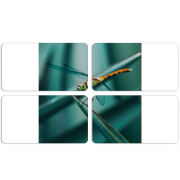 Магнитные фотопазлы 90 на 50 набор 4 штуки 