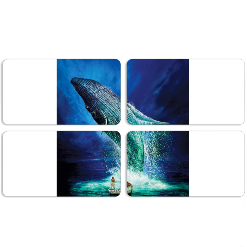 Магнитные фотопазлы 90 на 50 набор 4 штуки Sea Giant