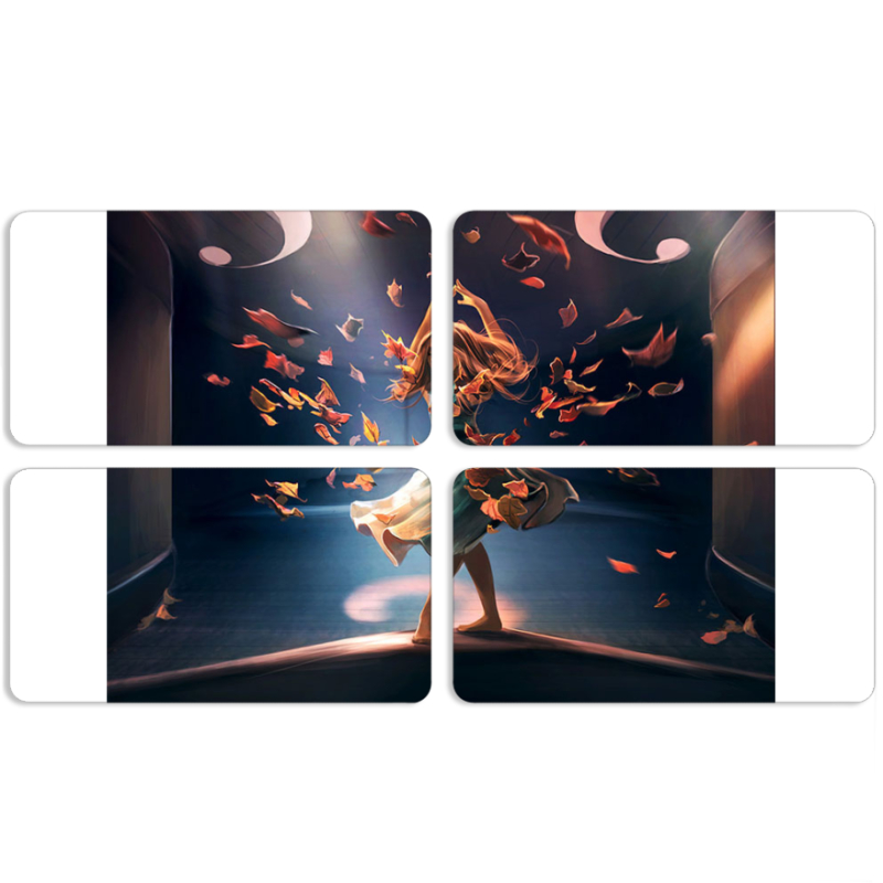 Магнитные фотопазлы 90 на 50 набор 4 штуки 