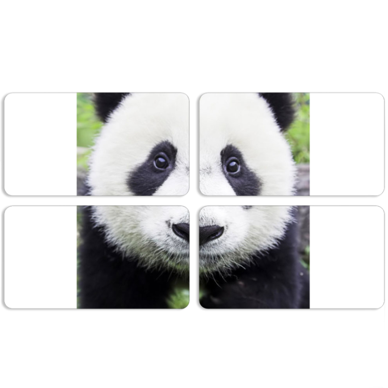 Магнитные фотопазлы 90 на 50 набор 4 штуки 