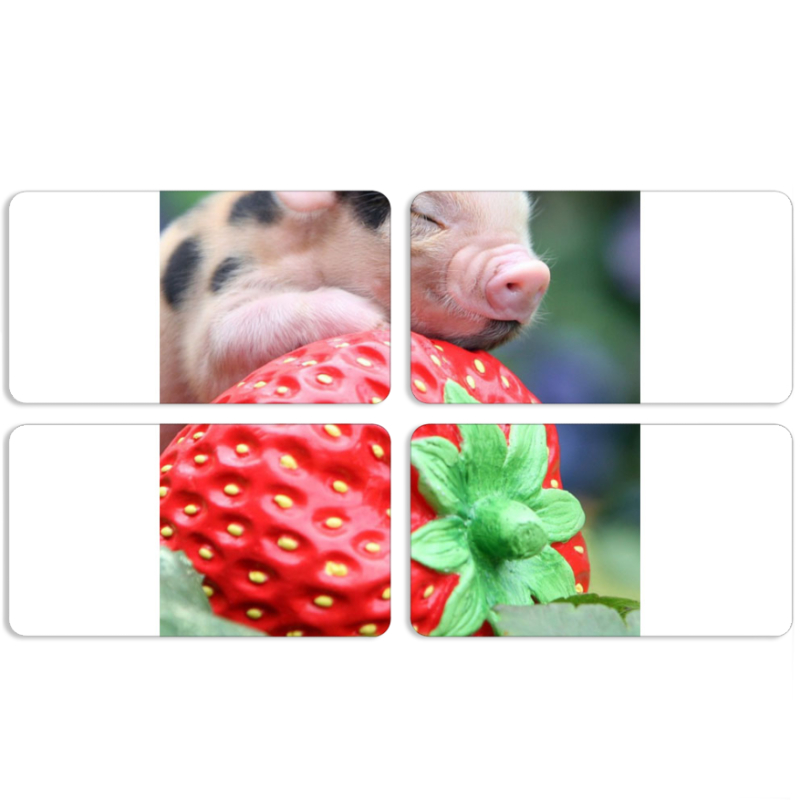 Магнитные фотопазлы 90 на 50 набор 4 штуки 