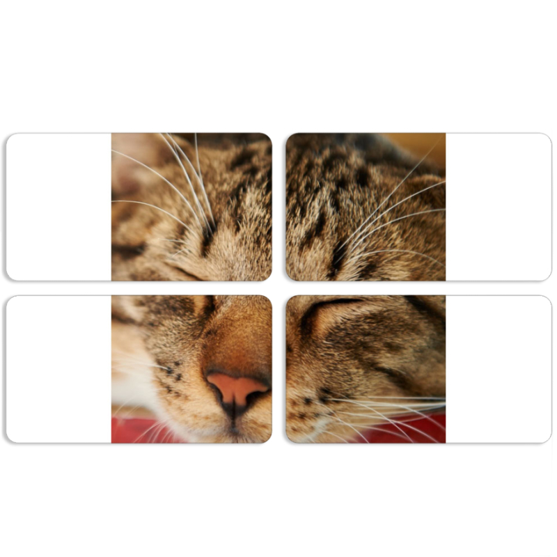 Магнитные фотопазлы 90 на 50 набор 4 штуки 