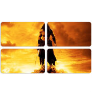 Магнитные фотопазлы 90 на 50 набор 4 штуки 