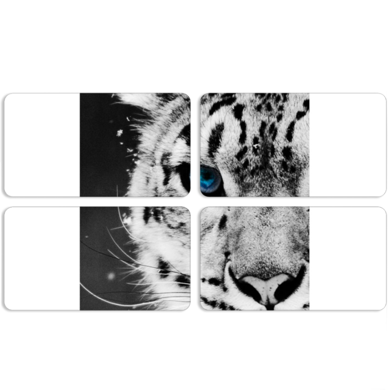 Магнитные фотопазлы 90 на 50 набор 4 штуки 