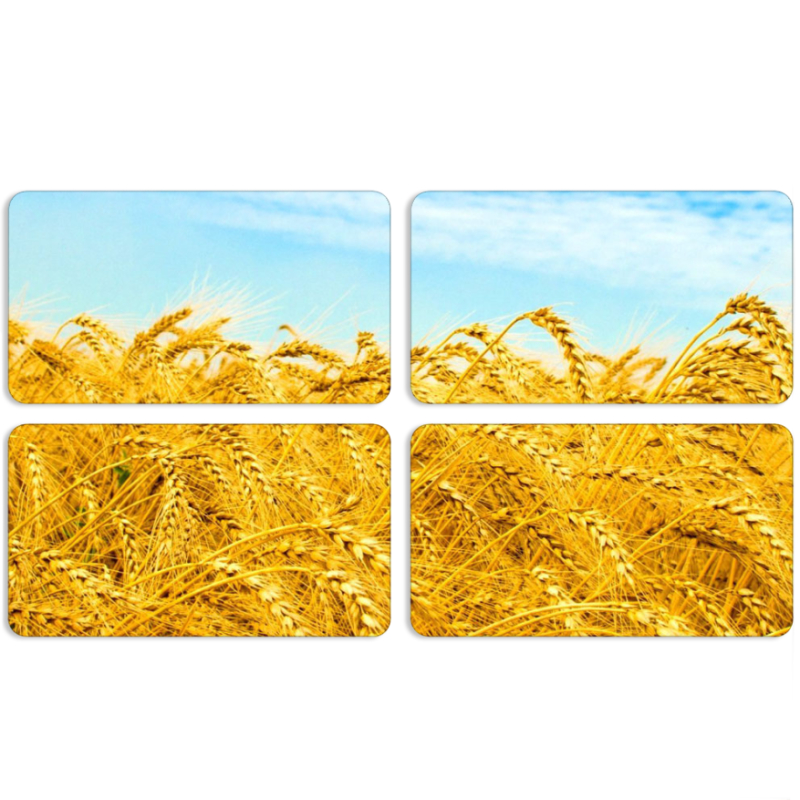 Магнитные фотопазлы 90 на 50 набор 4 штуки 