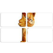 Магнитные фотопазлы 90 на 50 набор 4 штуки 