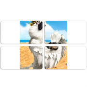 Магнитные фотопазлы 90 на 50 набор 4 штуки 