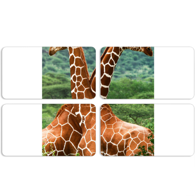 Магнитные фотопазлы 90 на 50 набор 4 штуки 