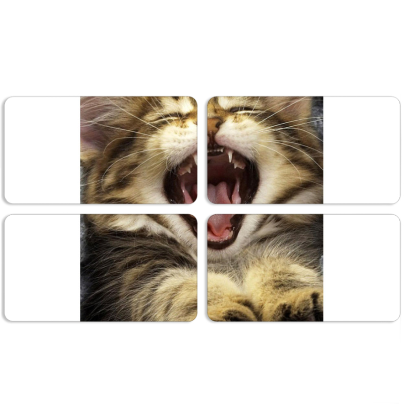 Магнитные фотопазлы 90 на 50 набор 4 штуки 