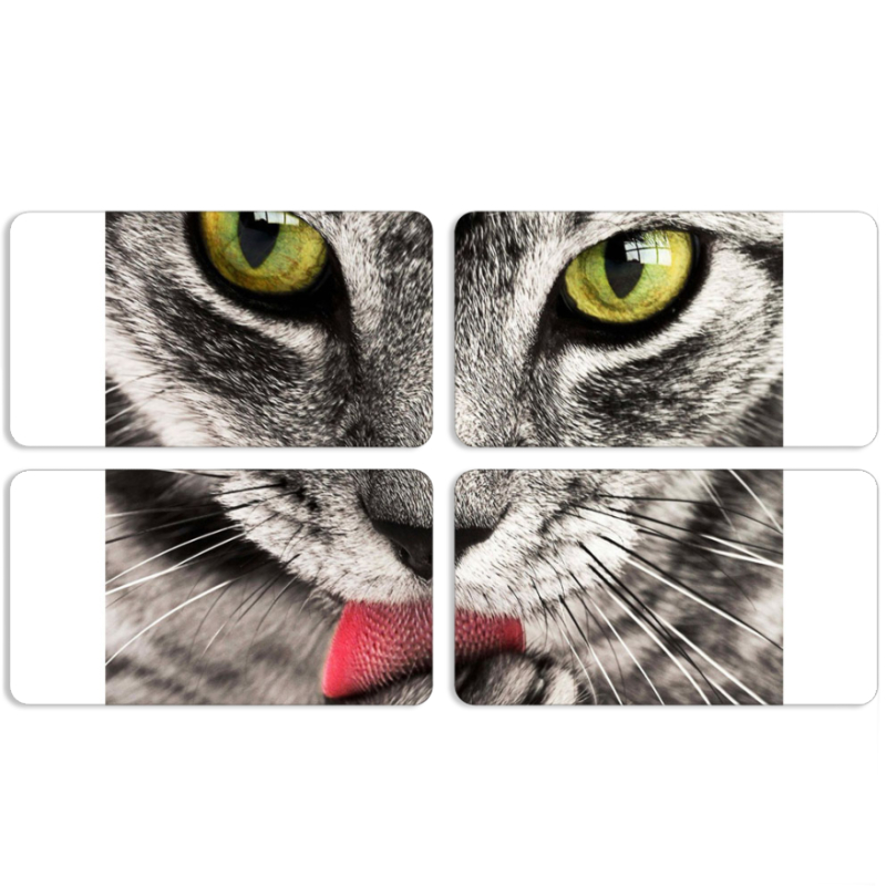 Магнитные фотопазлы 90 на 50 набор 4 штуки 