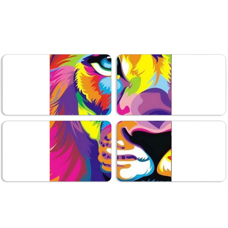 Магнитные фотопазлы 90 на 50 набор 4 штуки Frilly Lion