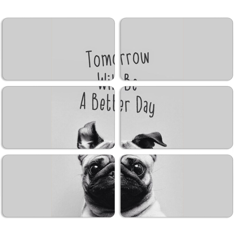 Магнитные фотопазлы 90 на 50 набор 6 штук 