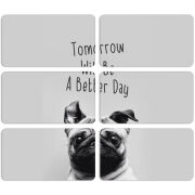 Магнитные фотопазлы 90 на 50 набор 6 штук 