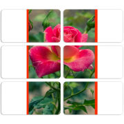 Магнитные фотопазлы 90 на 50 набор 6 штук 