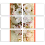 Магнитные фотопазлы 90 на 50 набор 6 штук 