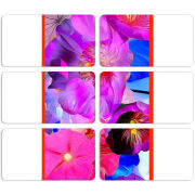 Магнитные фотопазлы 90 на 50 набор 6 штук 