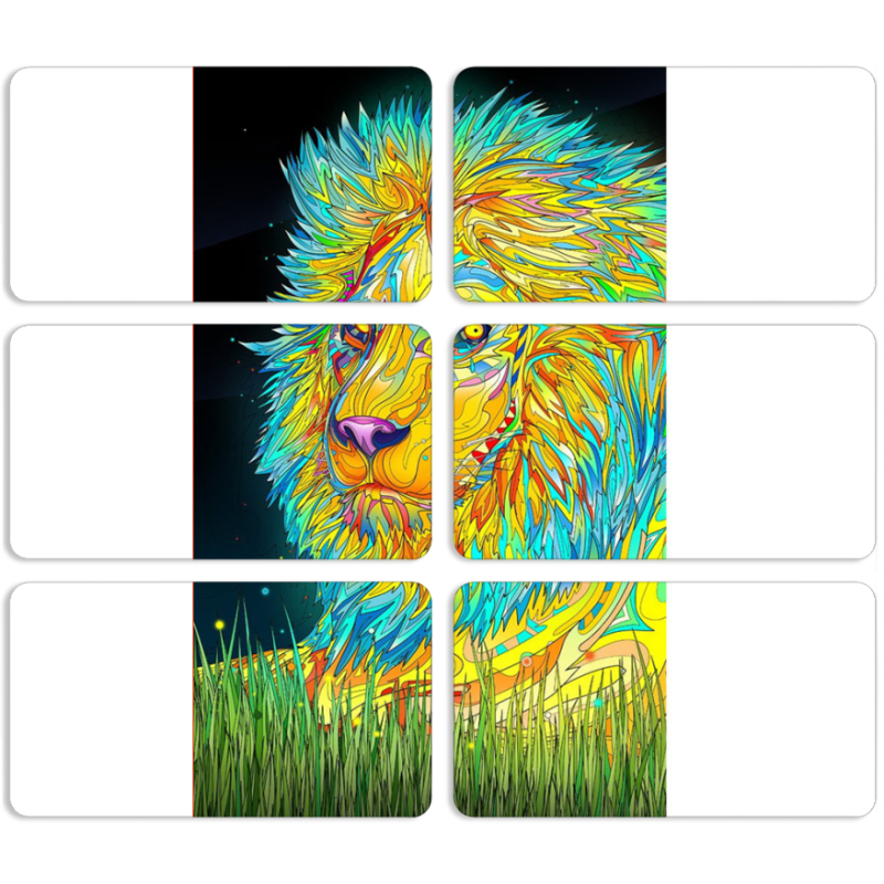 Магнитные фотопазлы 90 на 50 набор 6 штук Moonlight Lion