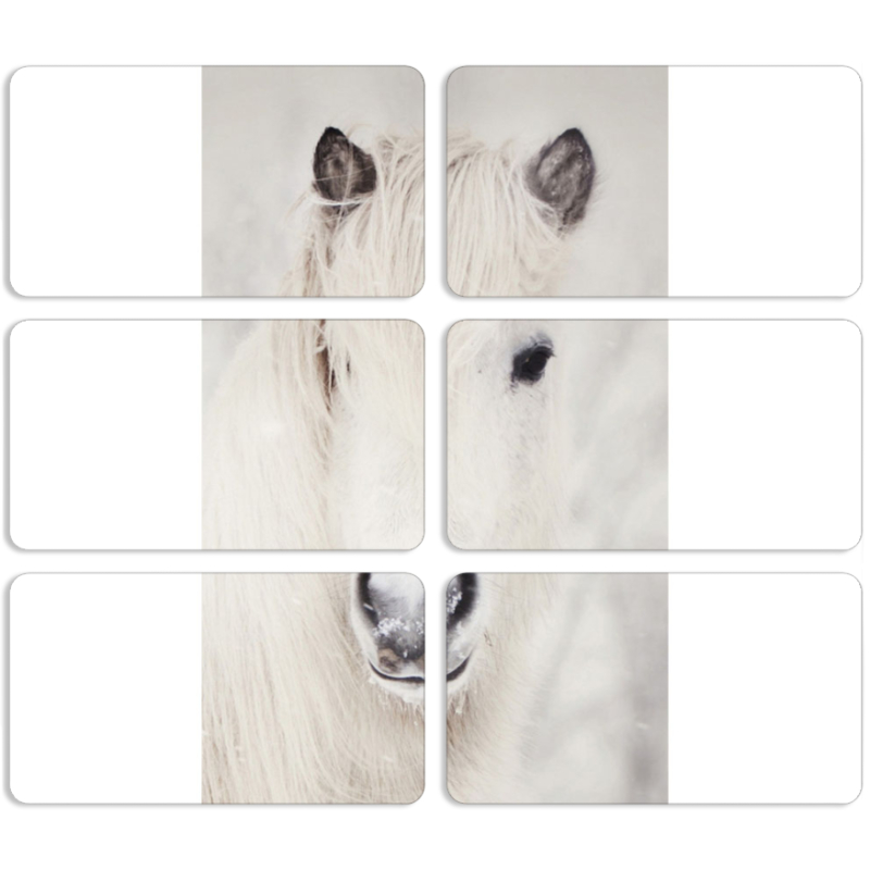 Магнитные фотопазлы 90 на 50 набор 6 штук 