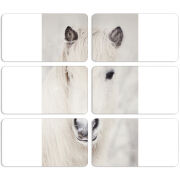 Магнитные фотопазлы 90 на 50 набор 6 штук 