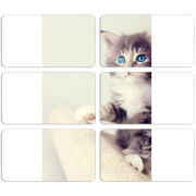 Магнитные фотопазлы 90 на 50 набор 6 штук 