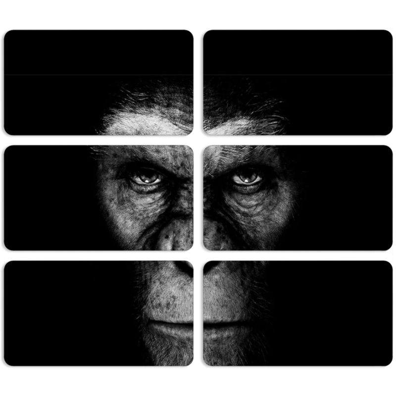 Магнитные фотопазлы 90 на 50 набор 6 штук 