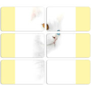 Магнитные фотопазлы 90 на 50 набор 6 штук 