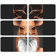 Магнитные фотопазлы 90 на 50 набор 6 штук 