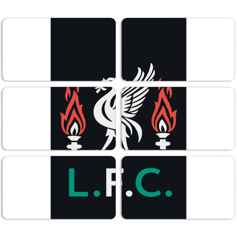 Магнитные фотопазлы 90 на 50 набор 6 штук L. F. C.