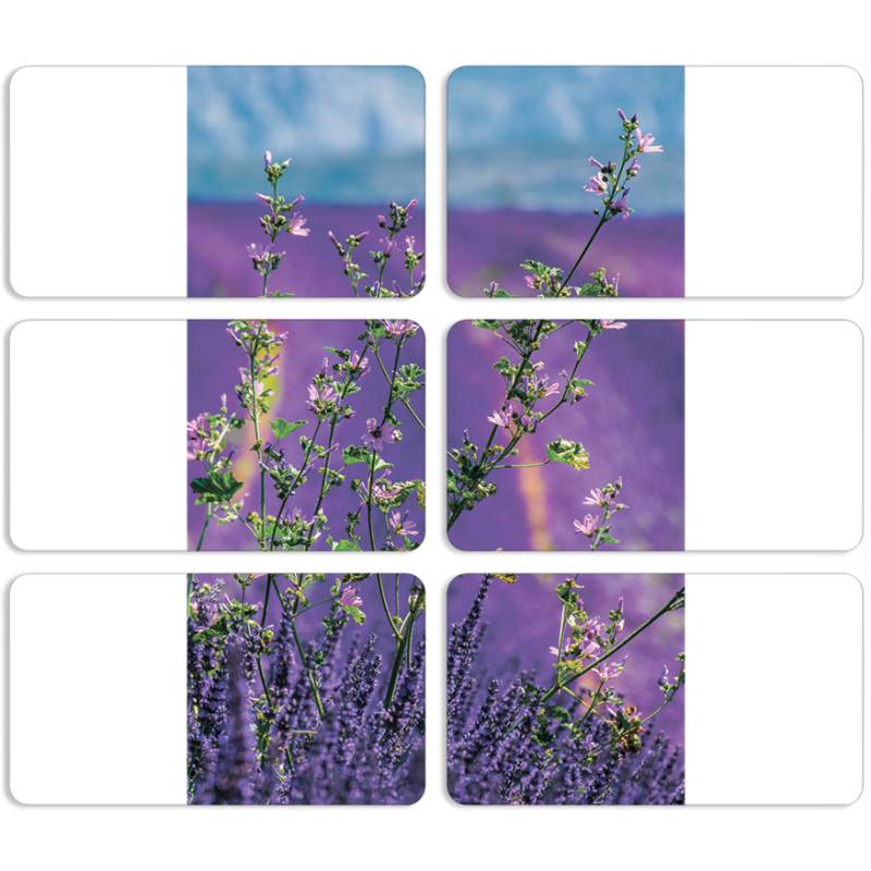 Магнитные фотопазлы 90 на 50 набор 6 штук Lavender Field