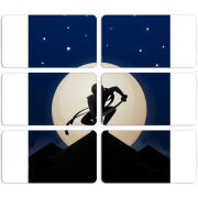 Магнитные фотопазлы 90 на 50 набор 6 штук 