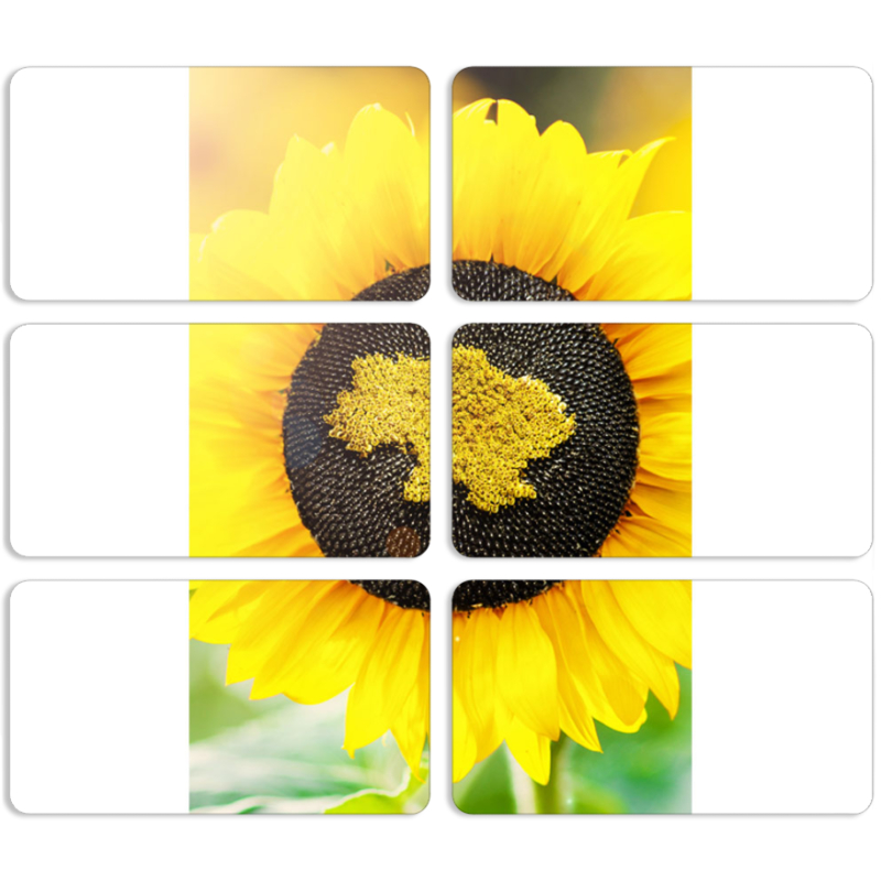 Магнитные фотопазлы 90 на 50 набор 6 штук 