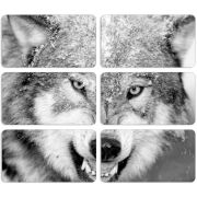 Магнитные фотопазлы 90 на 50 набор 6 штук 