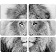 Магнитные фотопазлы 90 на 50 набор 6 штук 