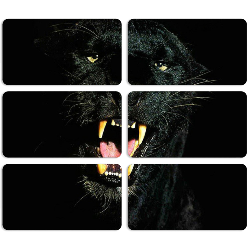 Магнитные фотопазлы 90 на 50 набор 6 штук 