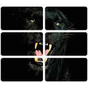 Магнитные фотопазлы 90 на 50 набор 6 штук 