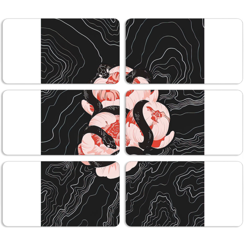 Магнитные фотопазлы 90 на 50 набор 6 штук Snake Rose