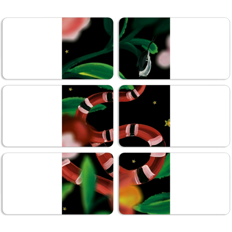 Магнитные фотопазлы 90 на 50 набор 6 штук Red Snake