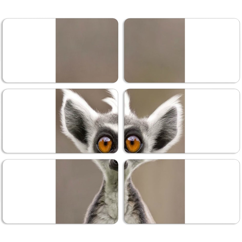 Магнитные фотопазлы 90 на 50 набор 6 штук 