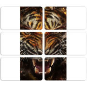 Магнитные фотопазлы 90 на 50 набор 6 штук 