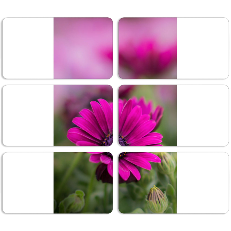 Магнитные фотопазлы 90 на 50 набор 6 штук 