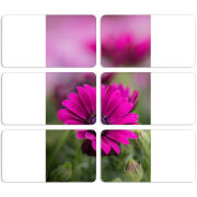 Магнитные фотопазлы 90 на 50 набор 6 штук 