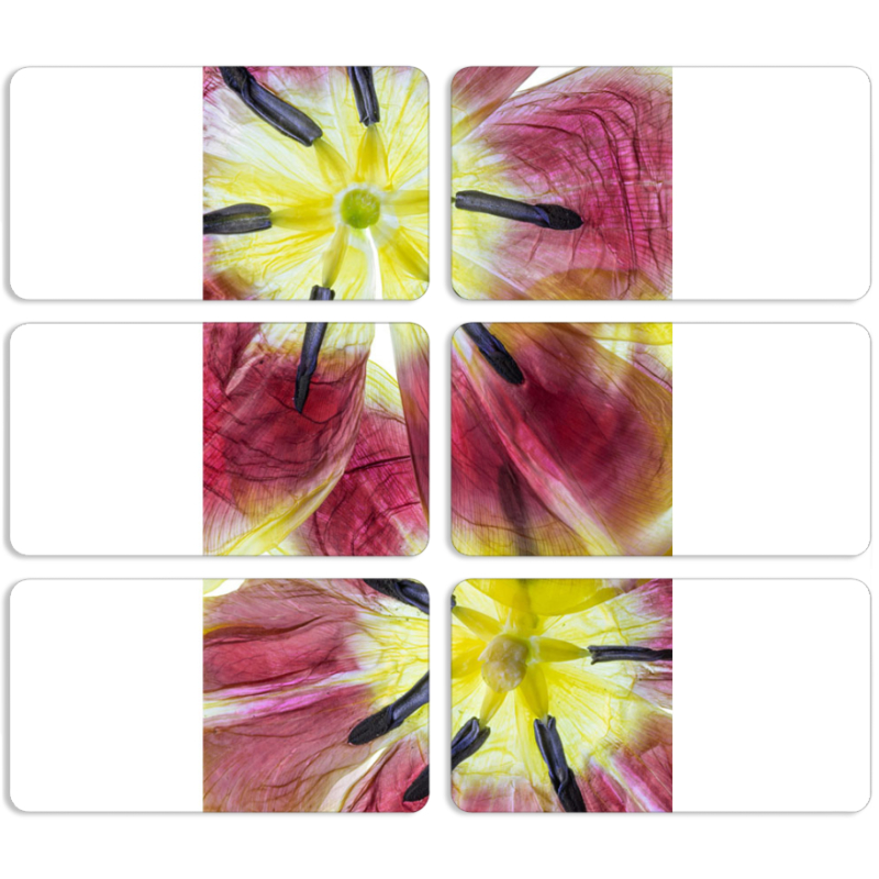 Магнитные фотопазлы 90 на 50 набор 6 штук 