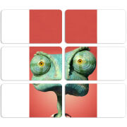 Магнитные фотопазлы 90 на 50 набор 6 штук 