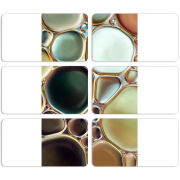 Магнитные фотопазлы 90 на 50 набор 6 штук 