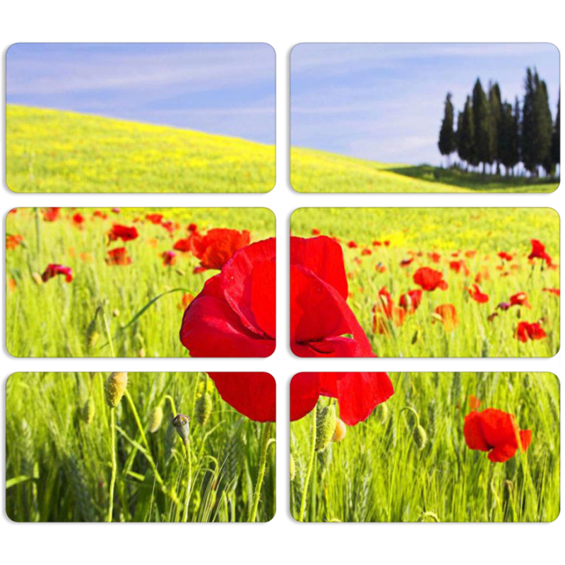 Магнитные фотопазлы 90 на 50 набор 6 штук Мак