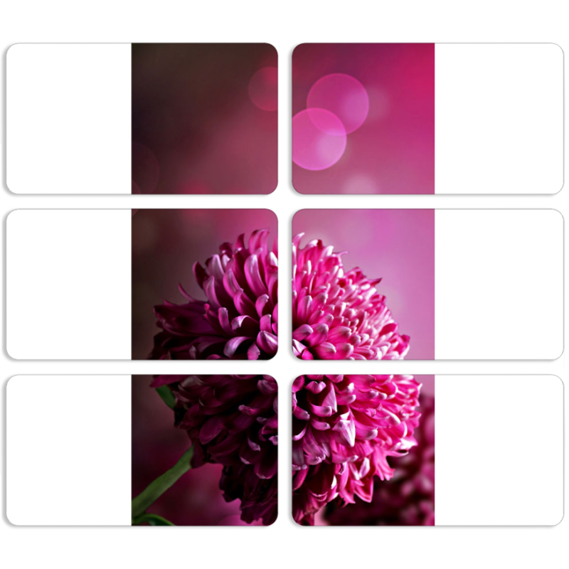 Магнитные фотопазлы 90 на 50 набор 6 штук 